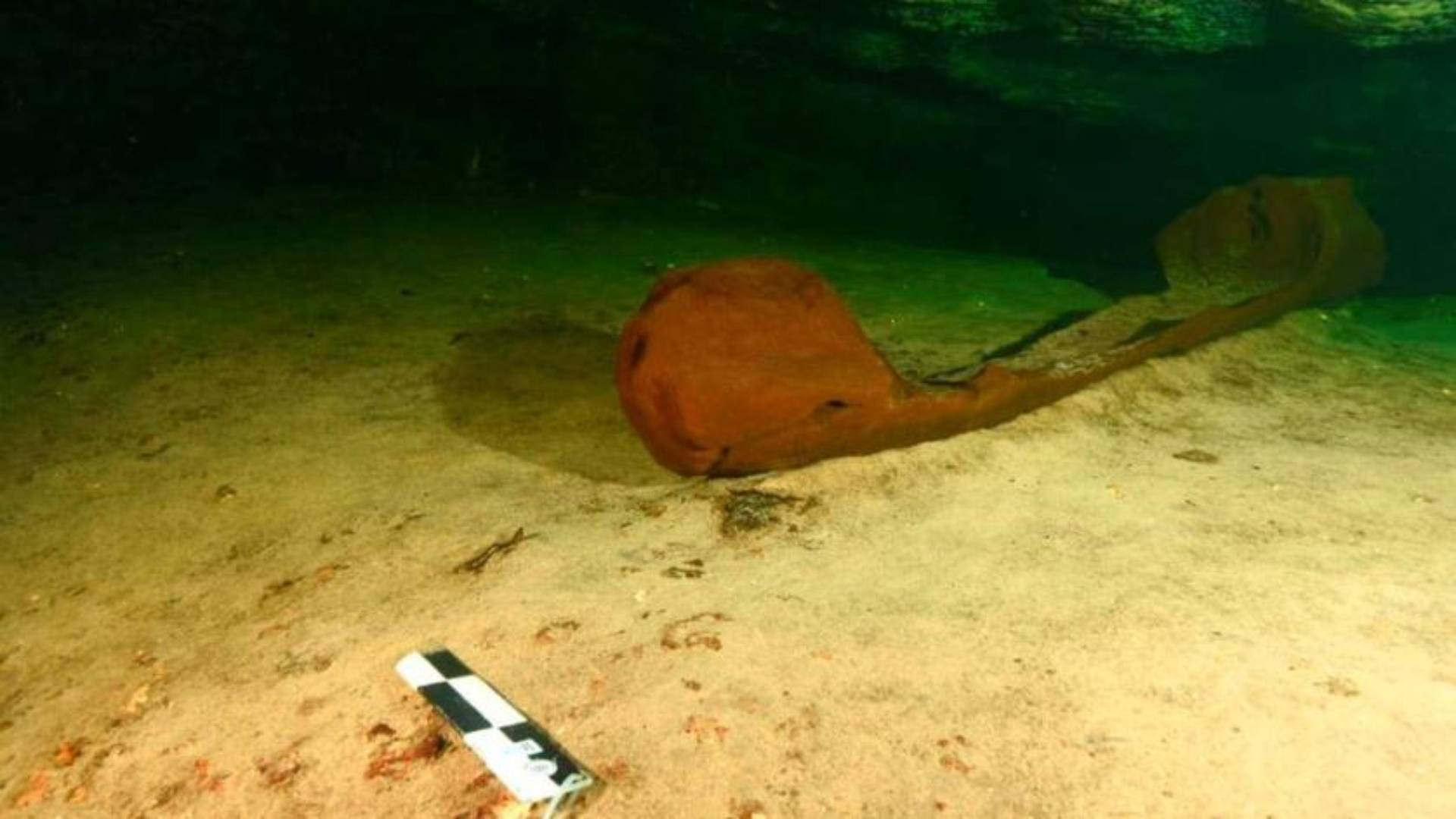  A wooden canoe used by the ancient Maya and believed to be over a thousand years old is pictured at a fresh-water pool known as a cenote and found during the archeological work, Mexico's National Institute of Anthropology and History (INAH)/Handout 